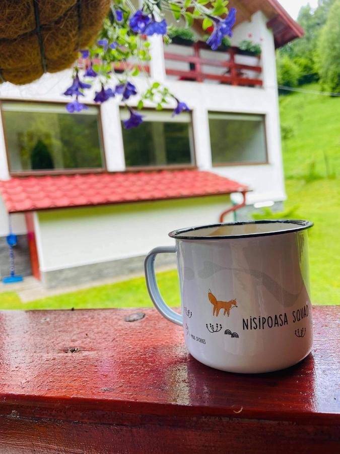Cabana Nisipoasa Rîu de Mori Exteriér fotografie