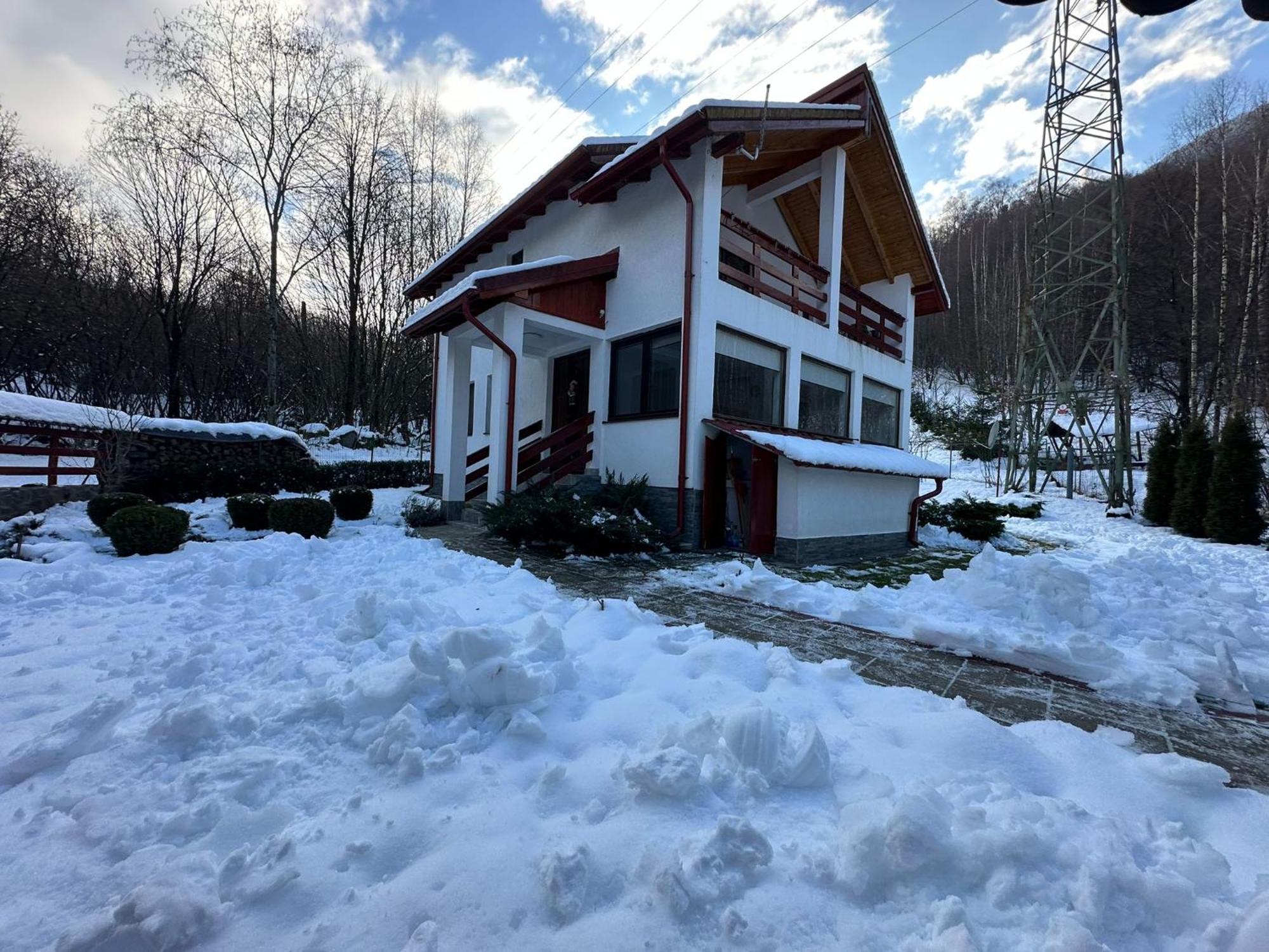 Cabana Nisipoasa Rîu de Mori Exteriér fotografie