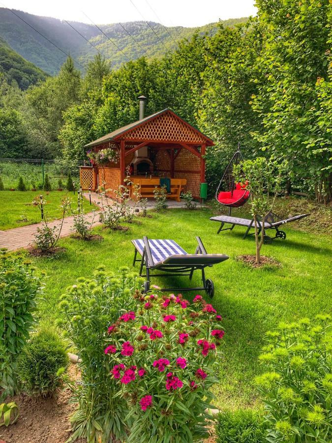 Cabana Nisipoasa Rîu de Mori Exteriér fotografie
