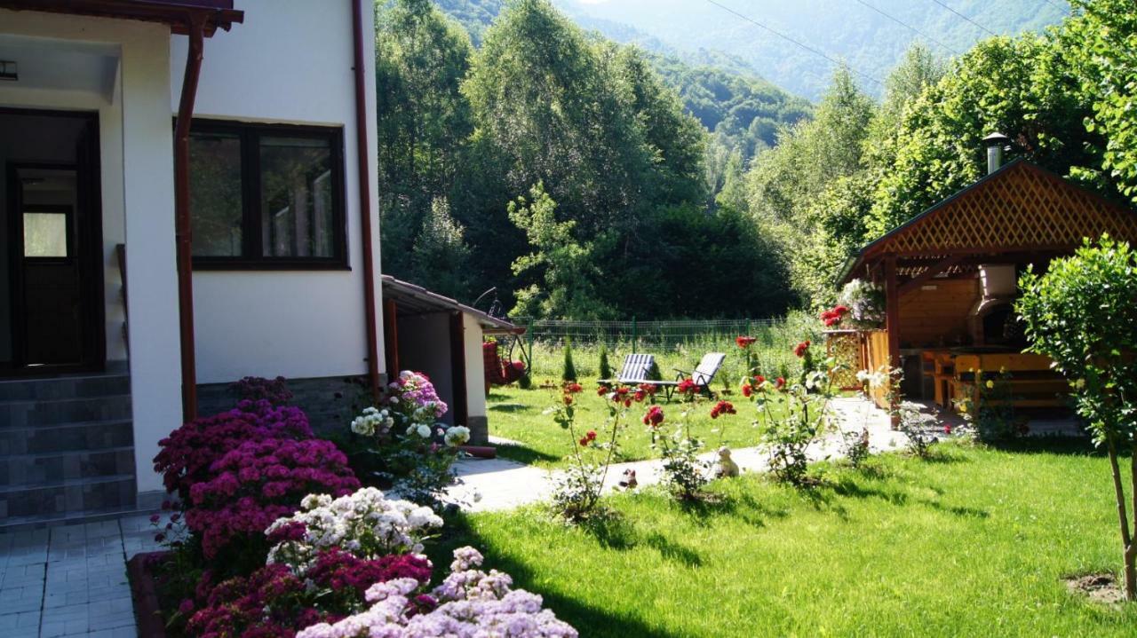 Cabana Nisipoasa Rîu de Mori Exteriér fotografie