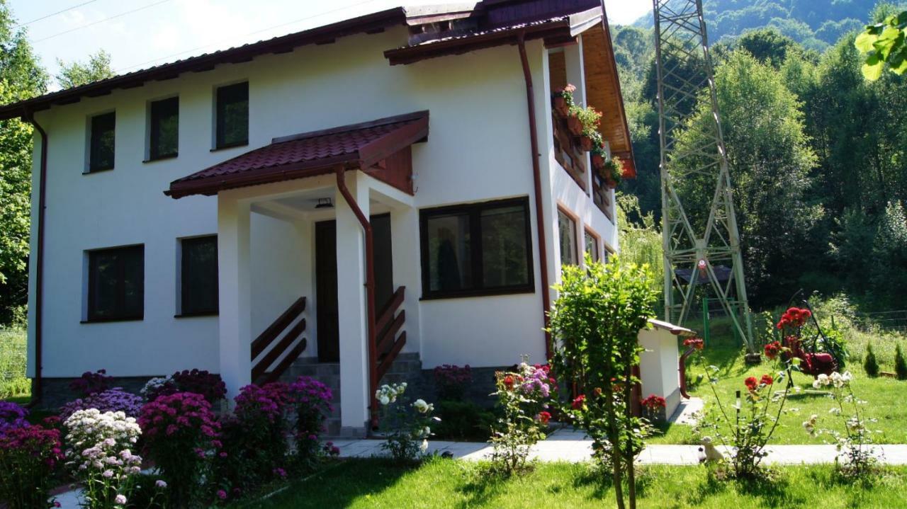 Cabana Nisipoasa Rîu de Mori Exteriér fotografie