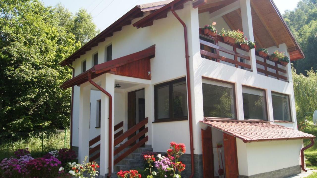 Cabana Nisipoasa Rîu de Mori Exteriér fotografie